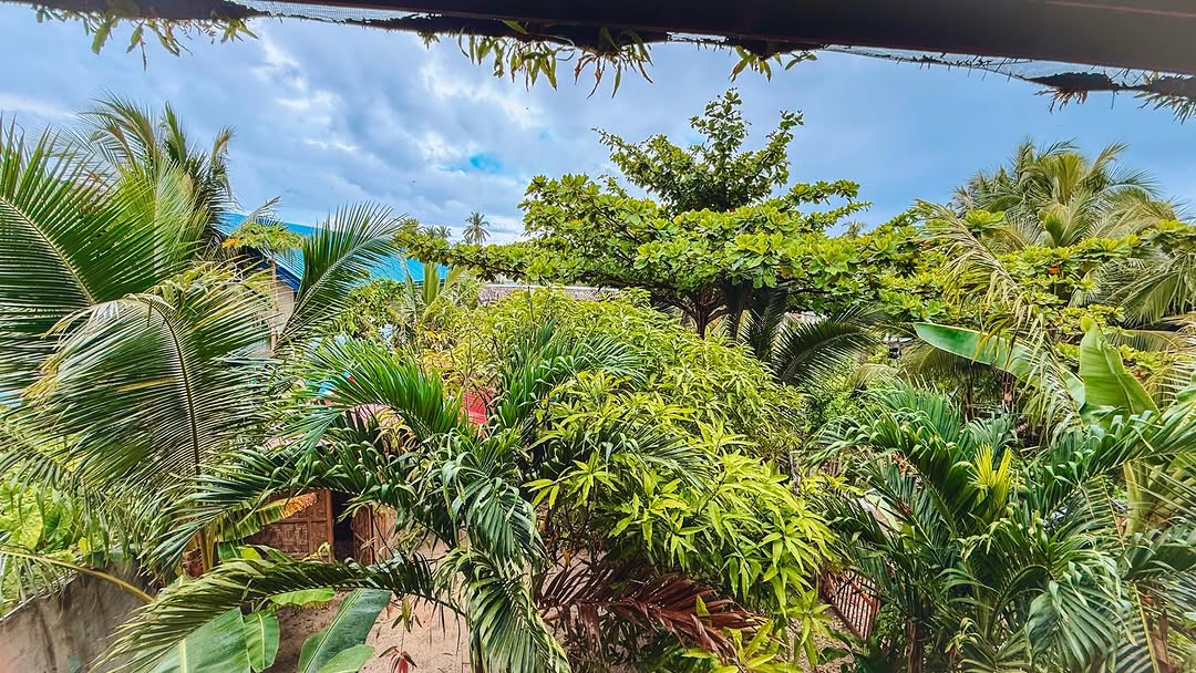 Surf Bayay Pacifico — rooms and accommodation